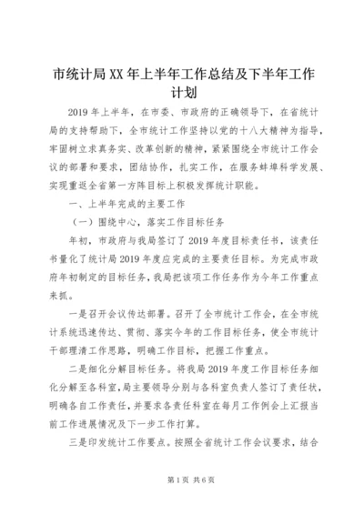 市统计局XX年上半年工作总结及下半年工作计划 (2).docx