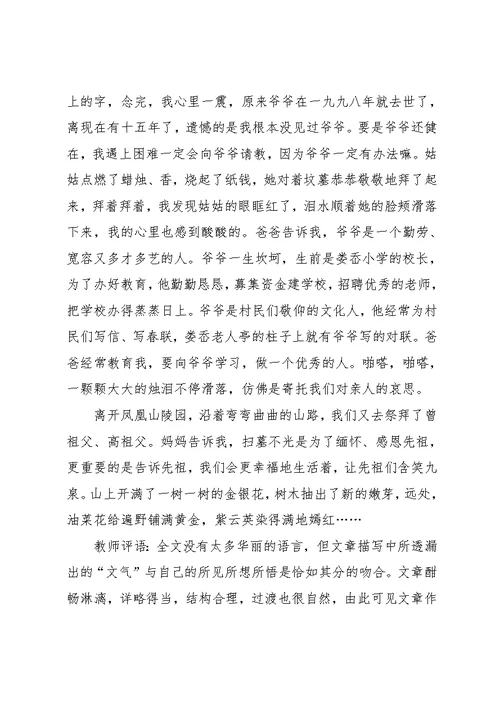 实用的清明节扫墓的作文汇总十篇(共12页)