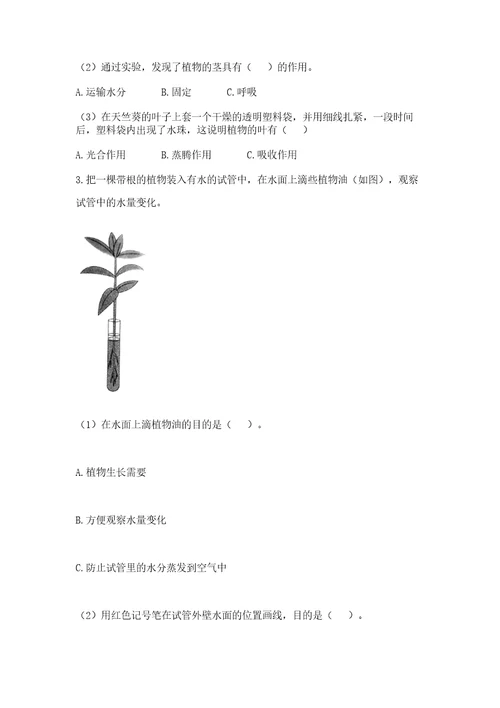 教科版科学四年级下册第一单元植物的生长变化测试卷及答案基础提升