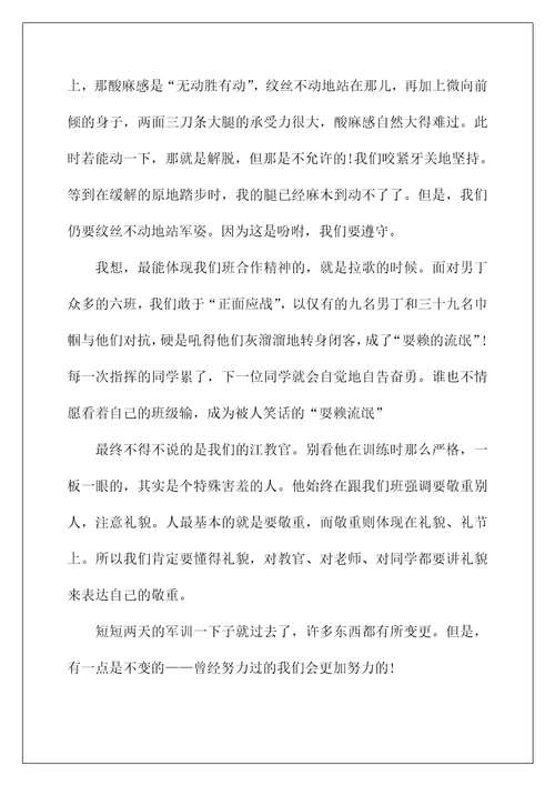 2022高一新生军训心得体会 17