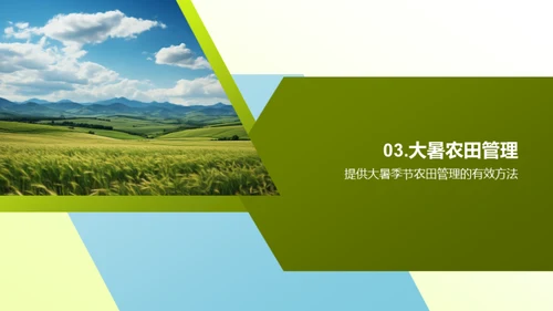 大暑农田守护手册