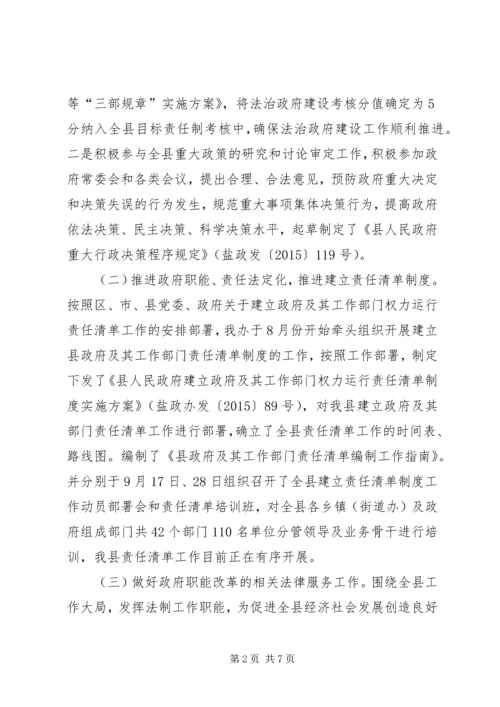 乡镇法制办年度工作总结及工作安排.docx