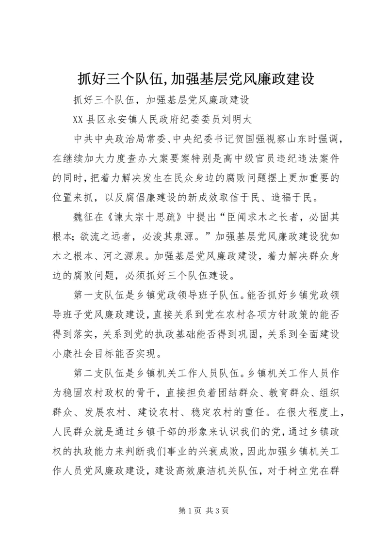 抓好三个队伍,加强基层党风廉政建设.docx