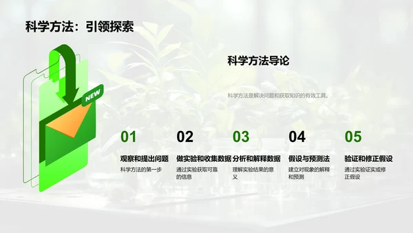 探秘植物生长