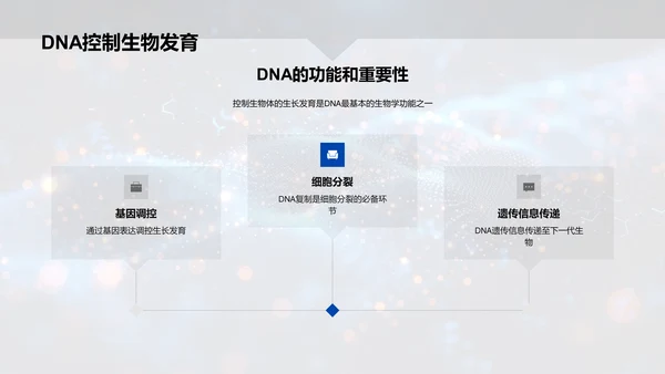 DNA结构与功能