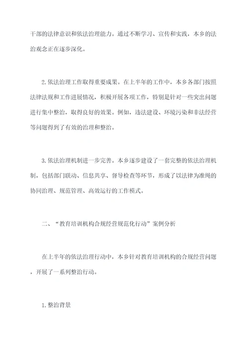 乡上半年依法治理工作总结