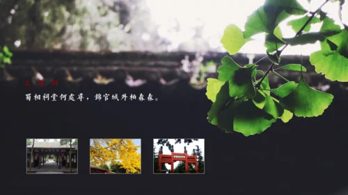 印象成都文旅宣传通用PPT模板