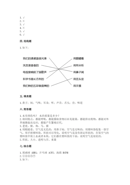 教科版小学科学一年级下册期末测试卷（完整版）.docx