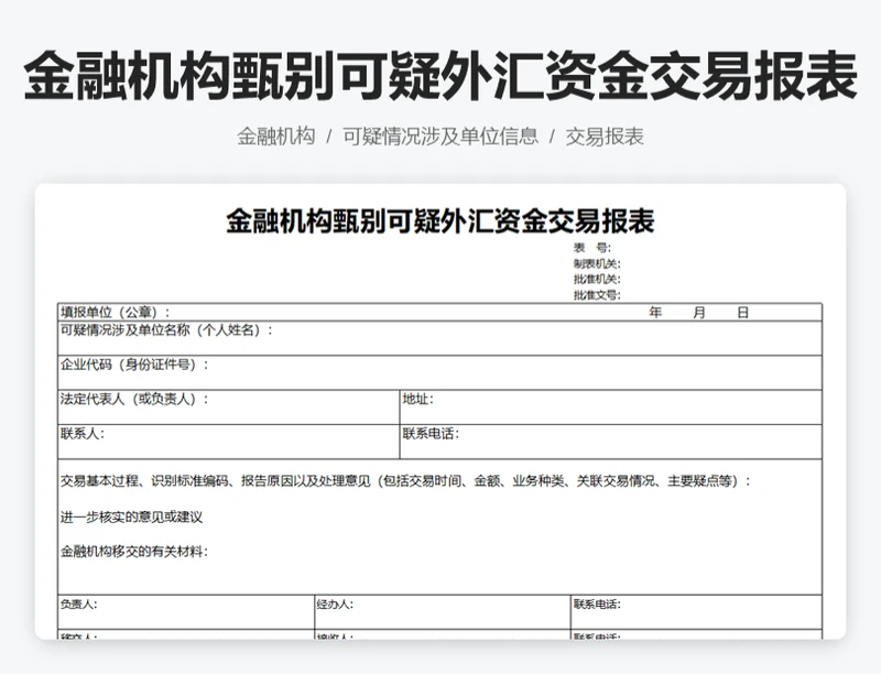 金融机构甄别可疑外汇资金交易报表