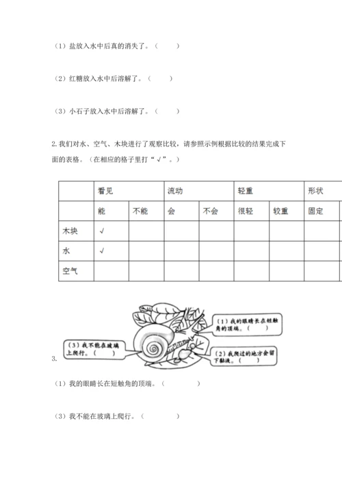 教科版一年级下册科学期末测试卷精品（巩固）.docx