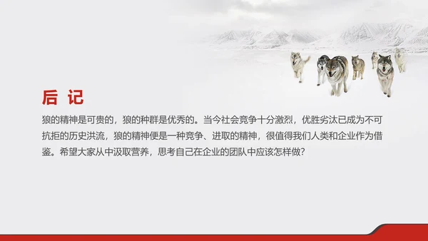 狼性文化企业培训PPT模板