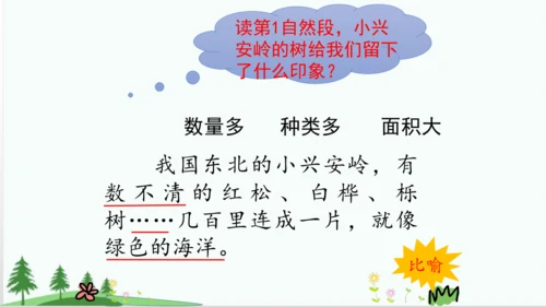 20.美丽的小兴安岭   课件
