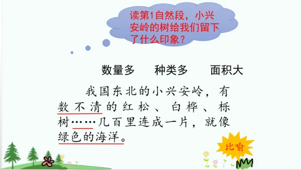 20.美丽的小兴安岭   课件