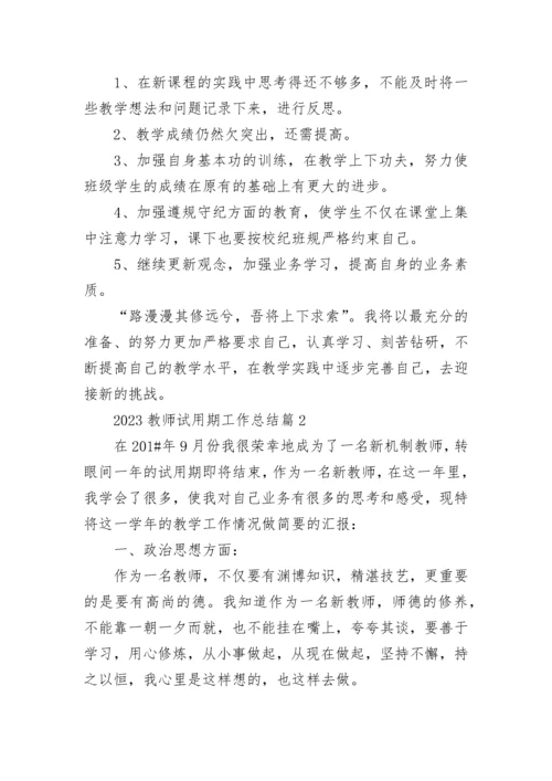 2023教师试用期工作总结范文7篇.docx