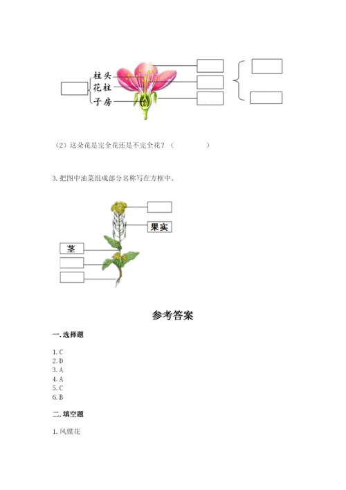 教科版科学四年级下册第一单元《植物的生长变化》测试卷有精品答案.docx