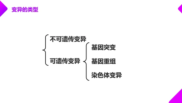 基因突变和基因重组初高中生物PPT课件