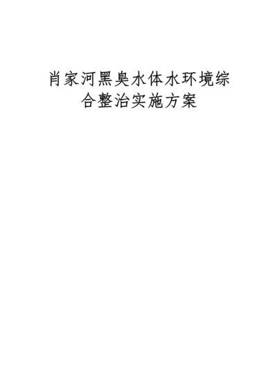 肖家河黑臭水体水环境综合整治实施方案.docx