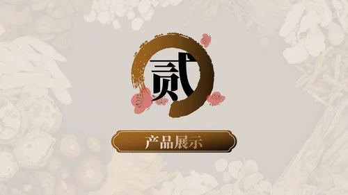 棕色中医药产品介绍PPT模板