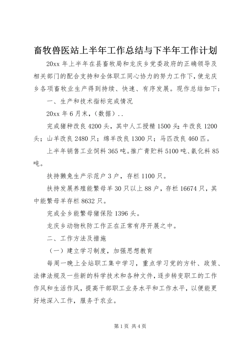 畜牧兽医站上半年工作总结与下半年工作计划精编.docx