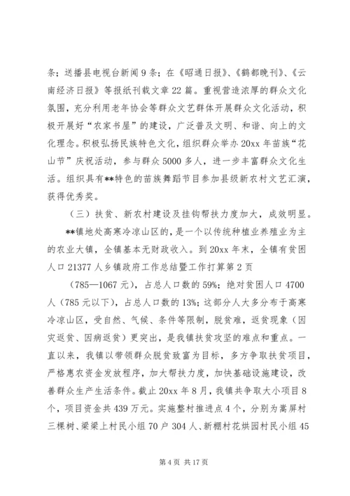 乡镇政府工作总结暨工作打算_1.docx