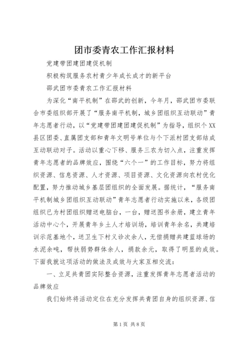 团市委青农工作汇报材料 (4).docx