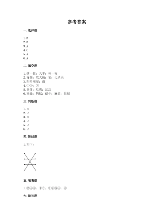 教科版小学科学一年级下册期末测试卷及答案（夺冠系列）.docx