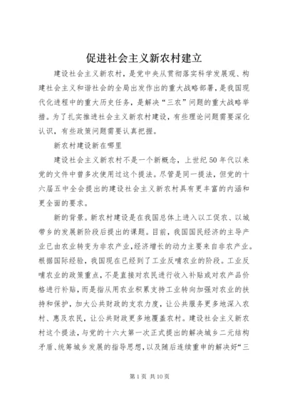 促进社会主义新农村建立.docx