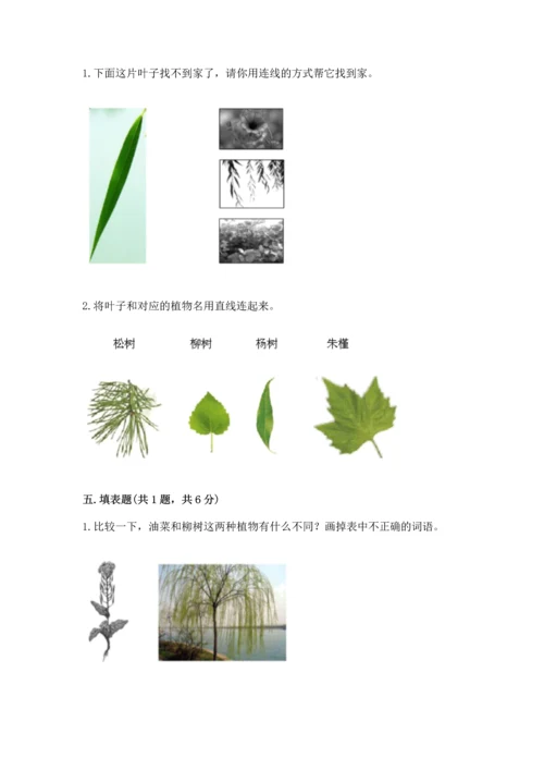 教科版科学一年级上册第一单元《植物》测试卷及完整答案（名师系列）.docx