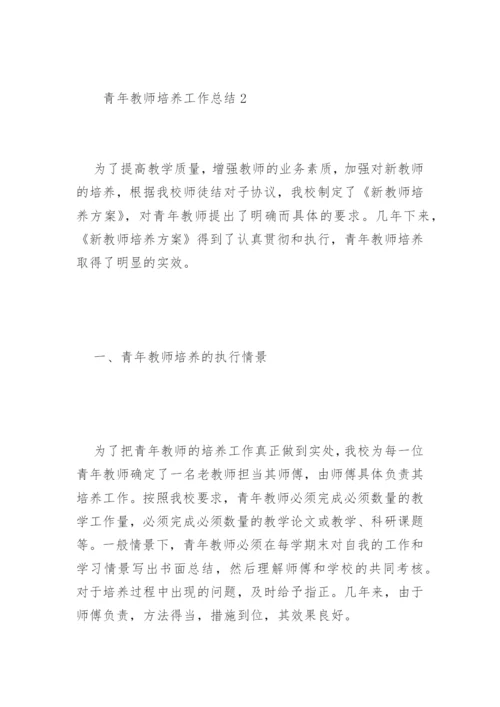 青年教师培养工作总结7篇.docx