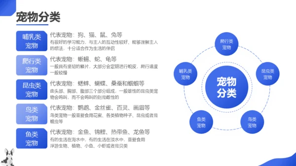 蓝色扁平风宠物主题班会PPT模板