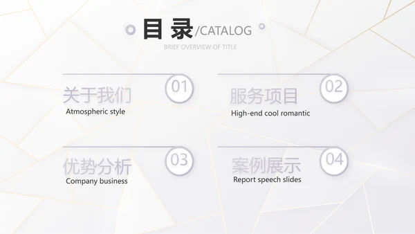 公司品牌策划方案工作总结计划PPT