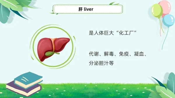 绿色小清新淡雅简约身体器官知多少幼儿园医学科普课件PPT