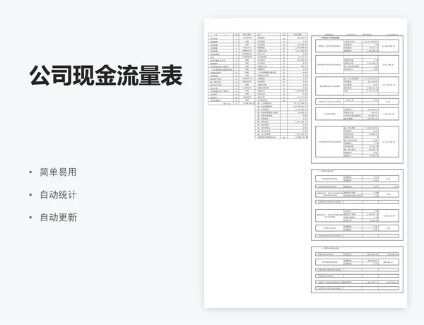 公司现金流量表