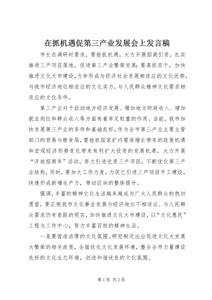 在抓机遇促第三产业发展会上发言稿.docx