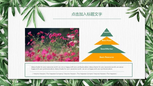 绿色环保慈善公益通用PPT模板
