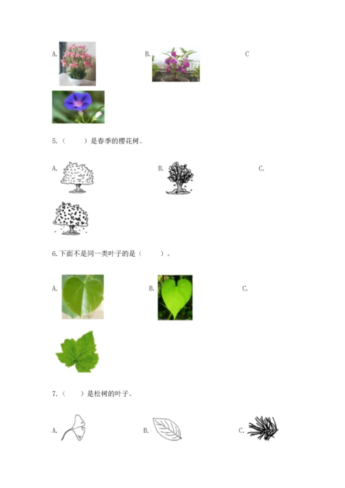 教科版小学一年级上册科学期末测试卷（培优）.docx