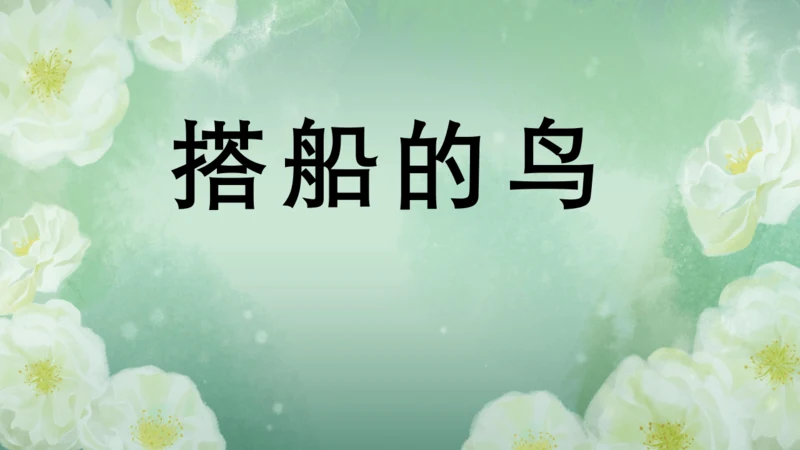 第15课《搭船的鸟》课件