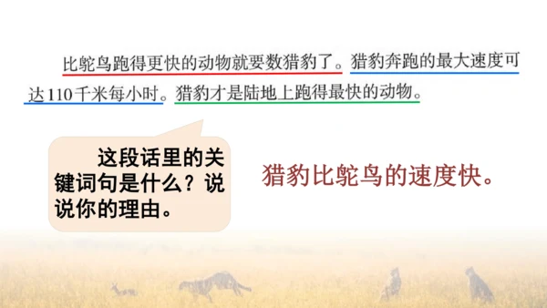 7 什么比猎豹的速度更快 第一课时 课件