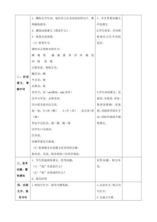 2.我是什么（两课时）教案