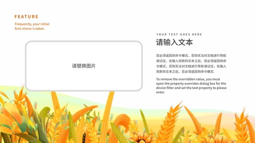 黄色可爱卡通教育PPT模板