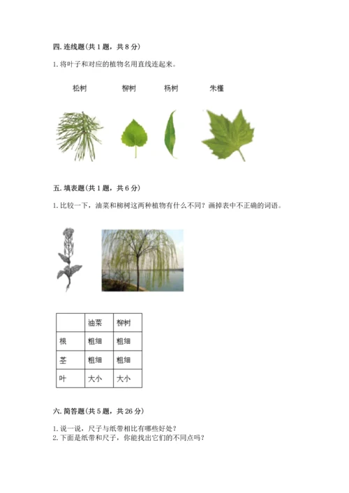 教科版一年级上册科学期末测试卷精品（典型题）.docx