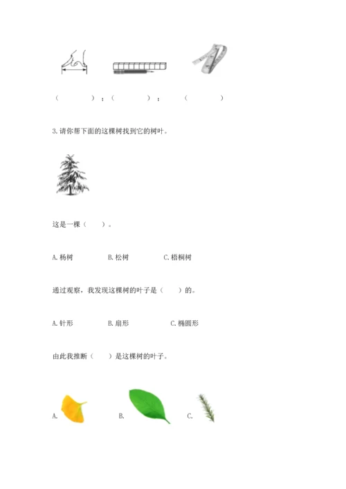 教科版一年级上册科学期末测试卷及完整答案1套.docx