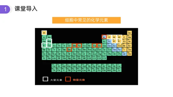 人教版高中生物细胞元素化合物PPT课件