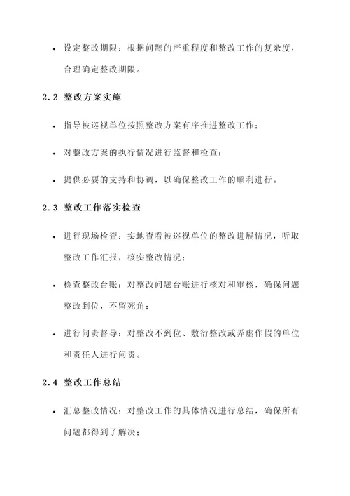 巡视整改工作督导内容