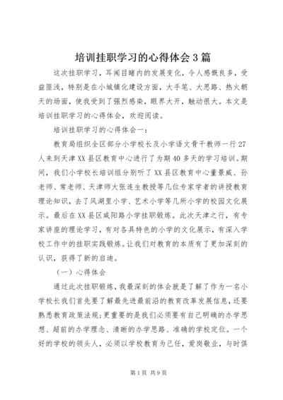 培训挂职学习的心得体会3篇.docx