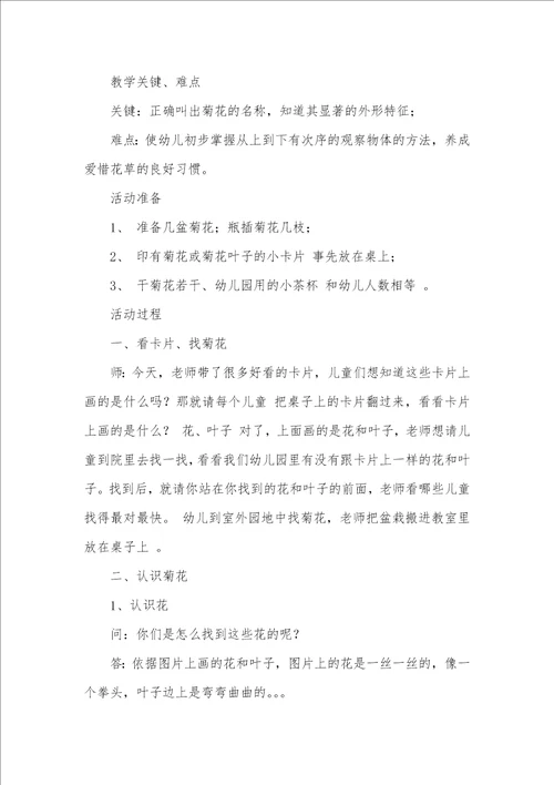 中班科学活动教案：认识菊花教案附教学反思