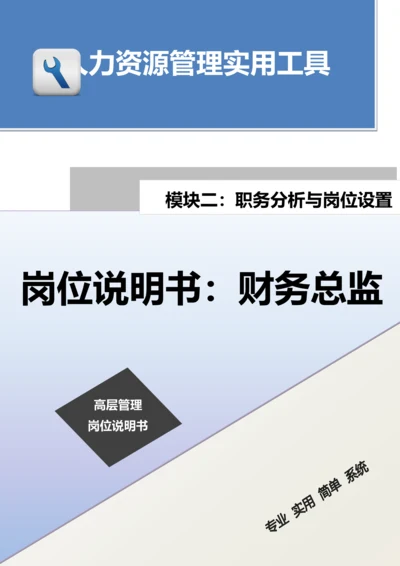 岗位说明书：财务总监.docx