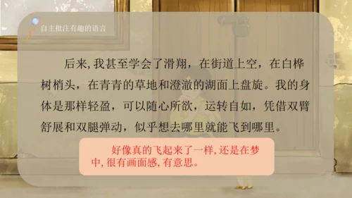 23 童年的发现（课件）