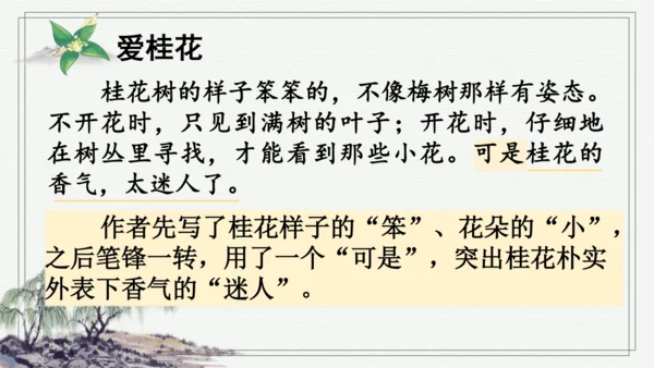 部编版五年级上册语文 3 桂花雨 课件