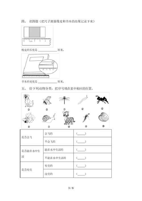 2021年苏教版一年级科学上册期中试卷(A4版)